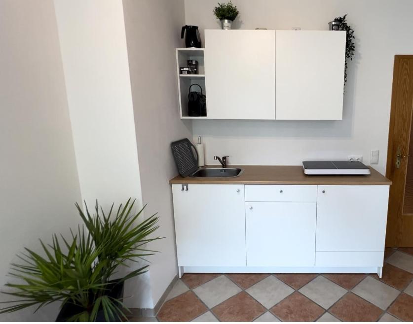 Palmen Apartment Direkt In Bad Aibling Kültér fotó